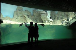 Acquario Genova