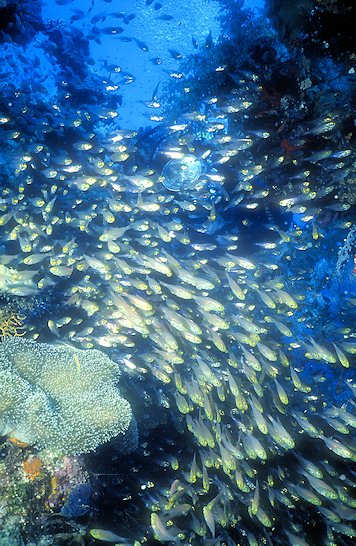 Foto di Giuseppe Argentieri