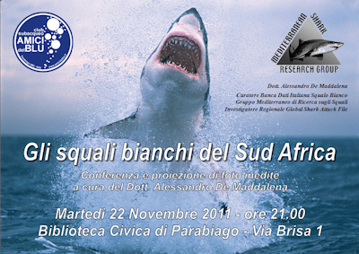 Squalo01.jpg